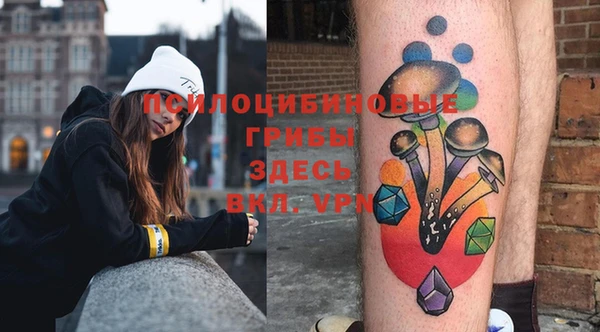 МДПВ Козловка